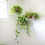 DIY κατασκευή κρεμαστές γλάστρες