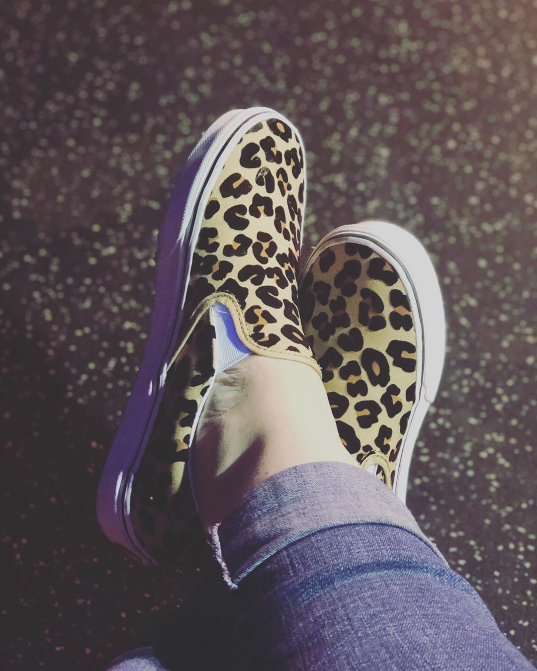 Vans Slip On Skate