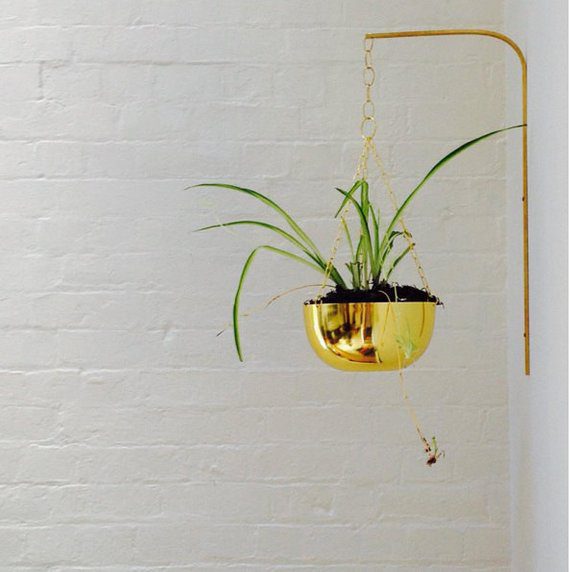 Διακόσμηση τοίχου με φυτά