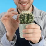 Φροντίδα κάκτου