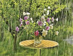 Προστασία φυτών από το κρύο τον χειμώνα