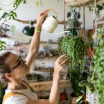 λίπασμα για φυτά εσωτερικού χώρου