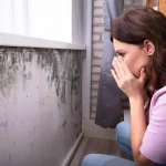 Είδη μούχλας και πόσο επικίνδυνη είναι για την υγεία σας