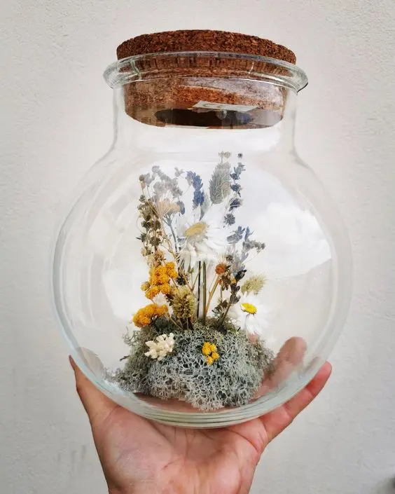 terrarium με αποξηραμένα λουλούδια