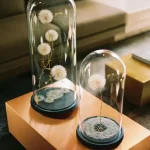 terrarium με αποξηραμένα λουλούδια