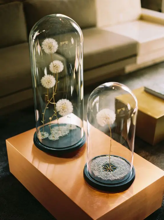 terrarium με αποξηραμένα λουλούδια
