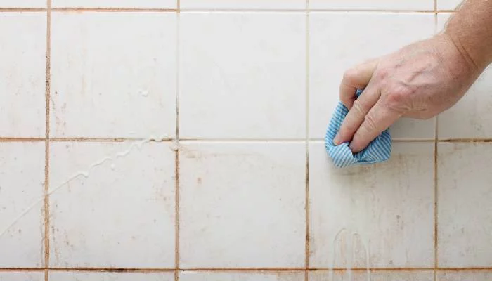 μούχλα στους αρμούς των πλακιδίων