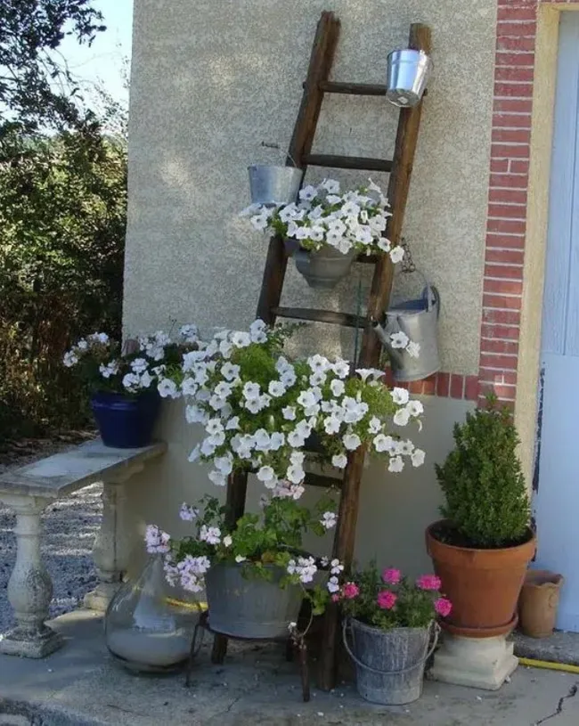 φυτά σε ξύλινη σκάλα
